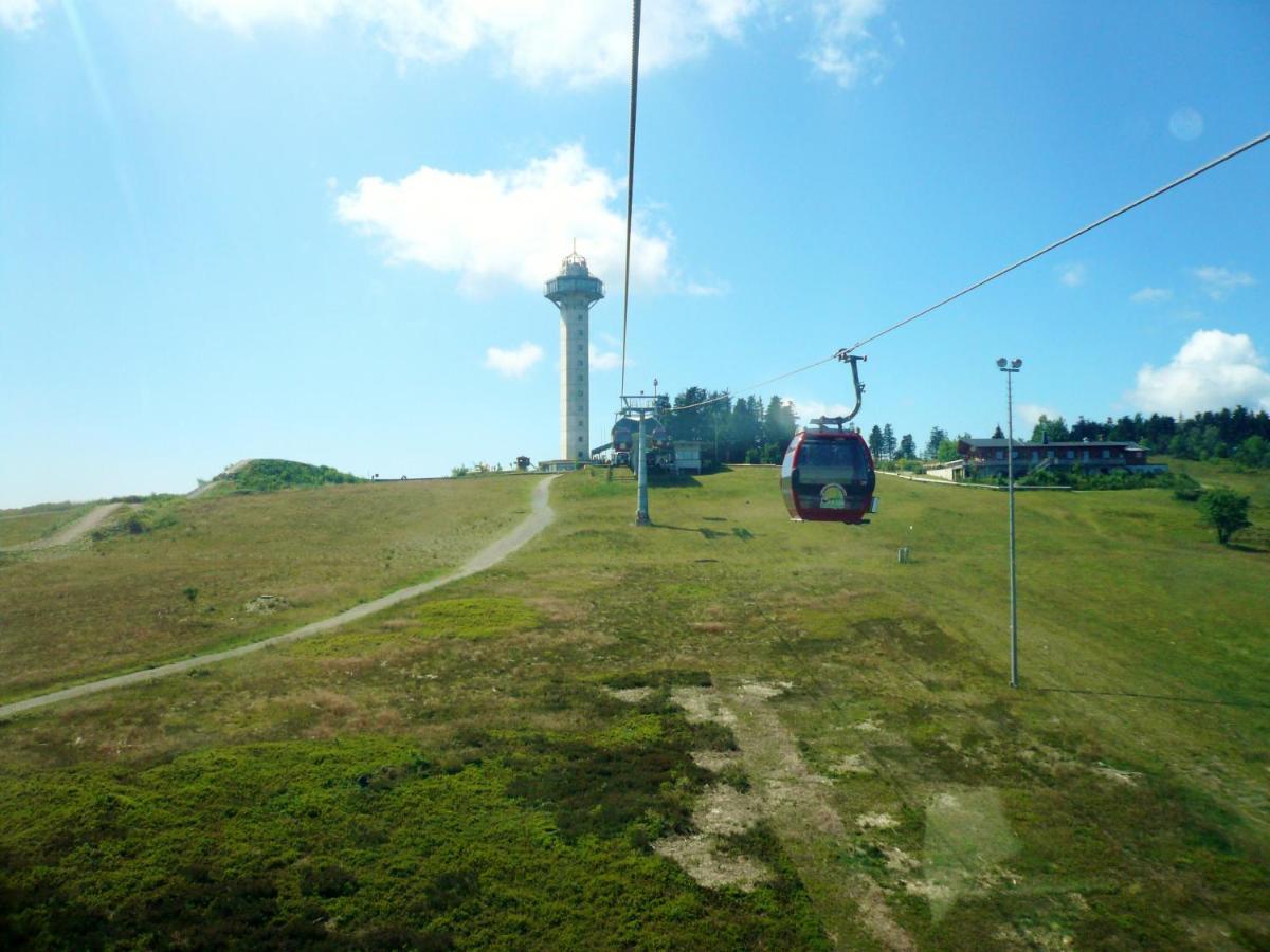 Ferienblockhaus Willingen Mit Meinecardplus Willingen (Upland) Exterior foto