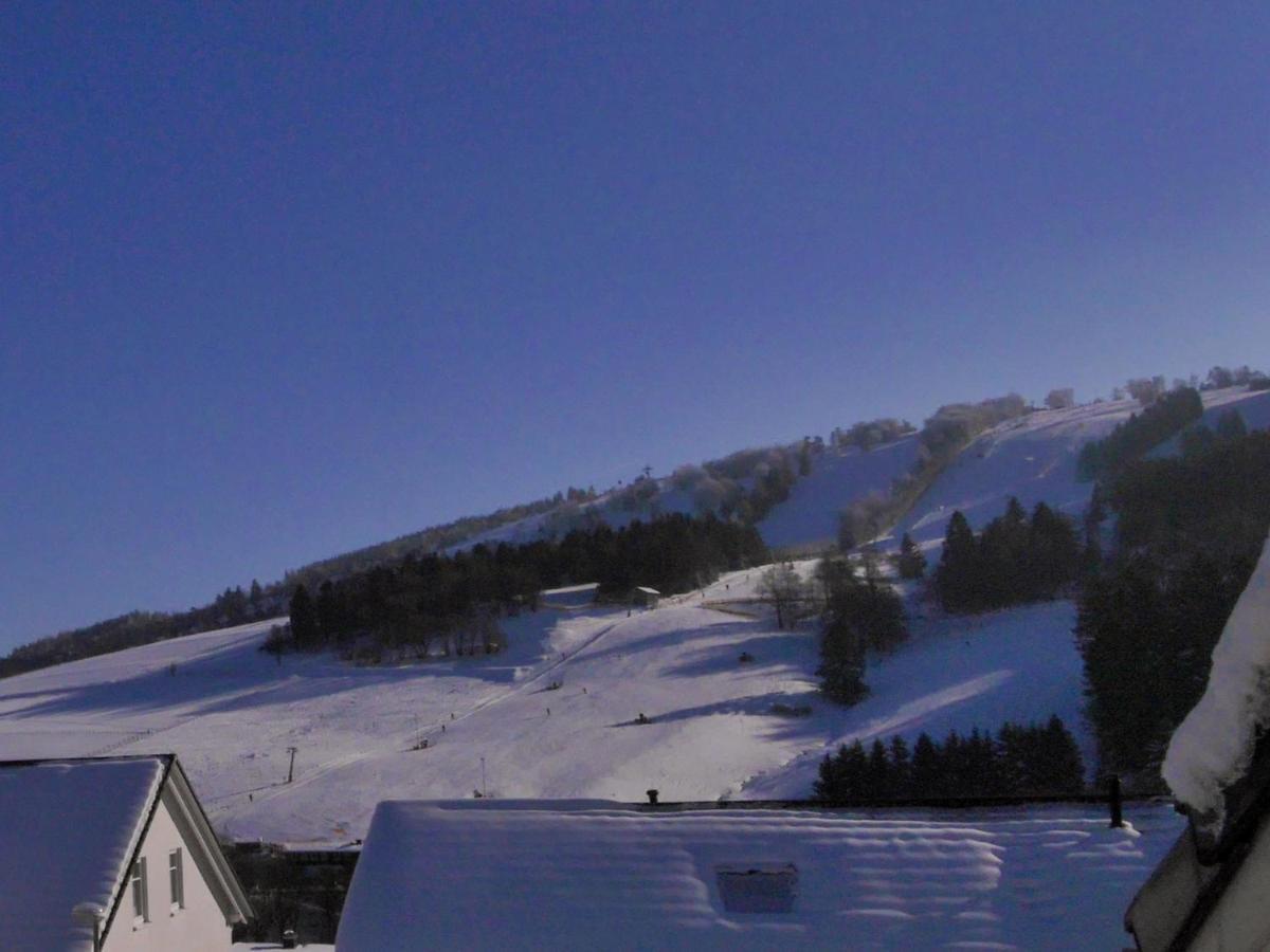Ferienblockhaus Willingen Mit Meinecardplus Willingen (Upland) Exterior foto